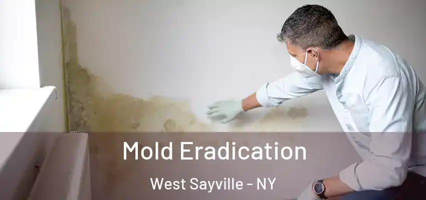  Mold Eradication West Sayville - NY