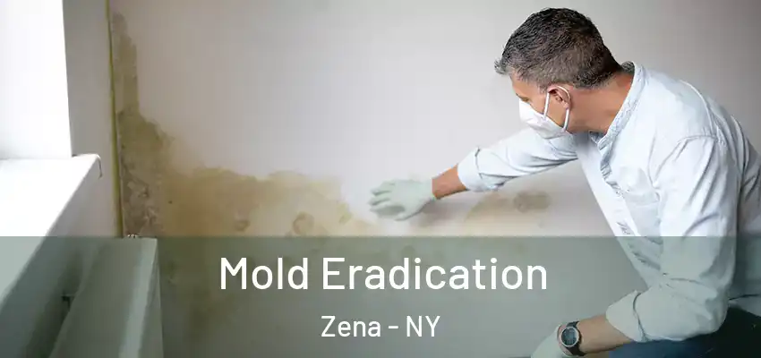 Mold Eradication Zena - NY