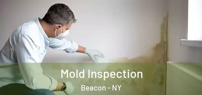  Mold Inspection Beacon - NY