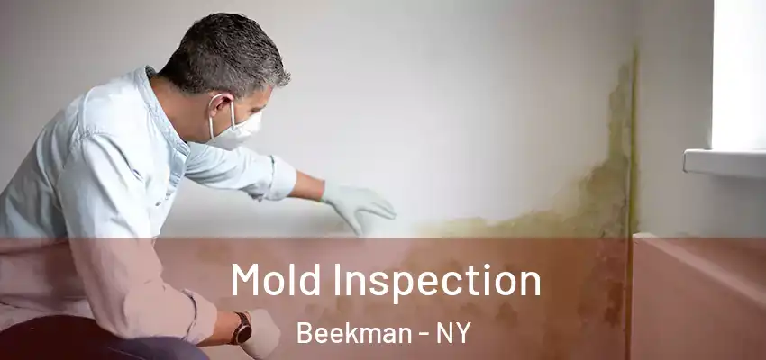 Mold Inspection Beekman - NY