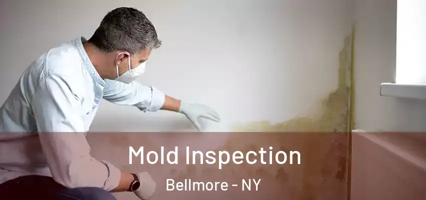 Mold Inspection Bellmore - NY