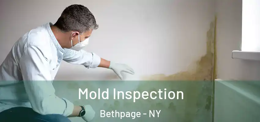  Mold Inspection Bethpage - NY