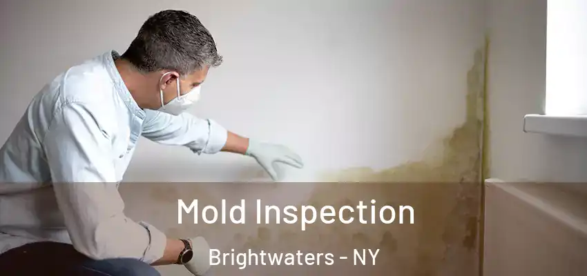 Mold Inspection Brightwaters - NY