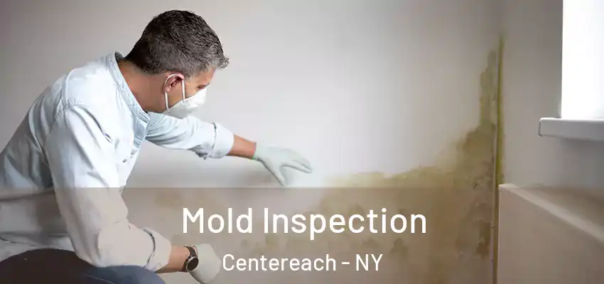  Mold Inspection Centereach - NY