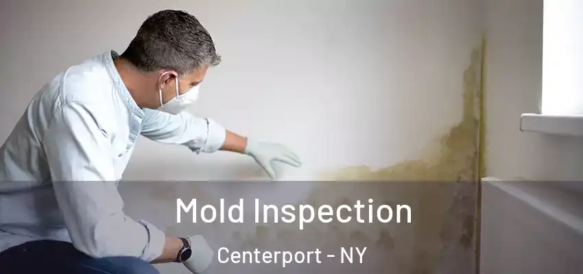  Mold Inspection Centerport - NY