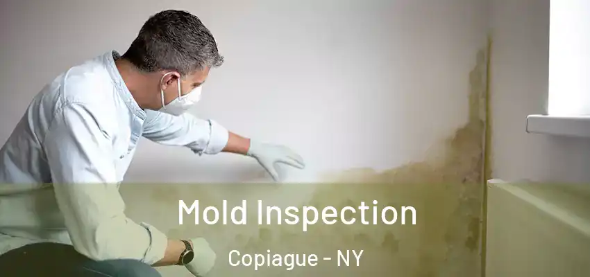 Mold Inspection Copiague - NY