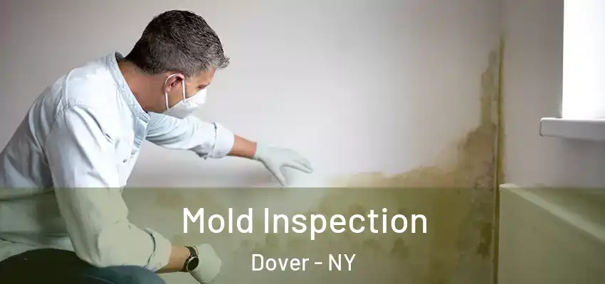  Mold Inspection Dover - NY