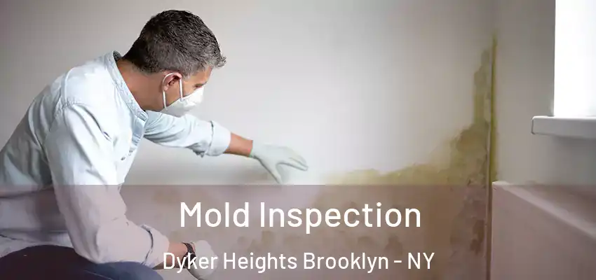  Mold Inspection Dyker Heights Brooklyn - NY