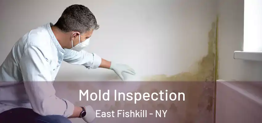 Mold Inspection East Fishkill - NY