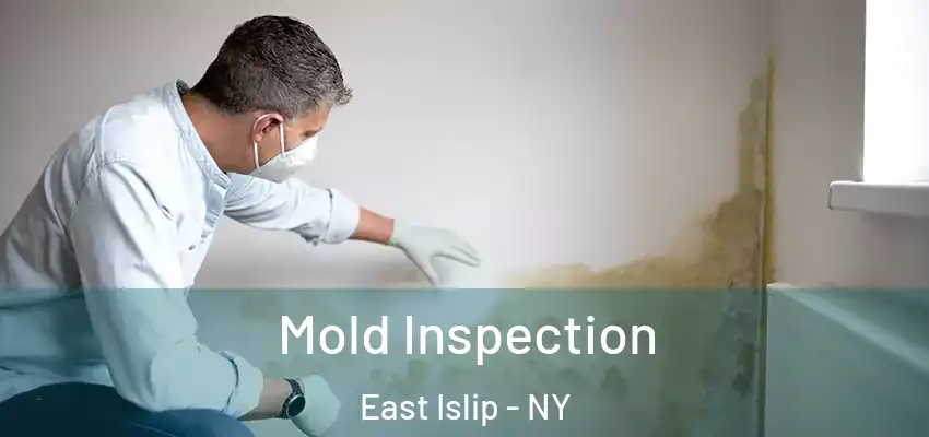  Mold Inspection East Islip - NY