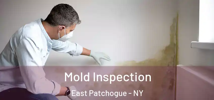 Mold Inspection East Patchogue - NY