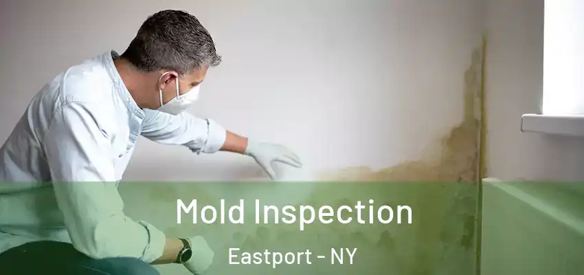  Mold Inspection Eastport - NY