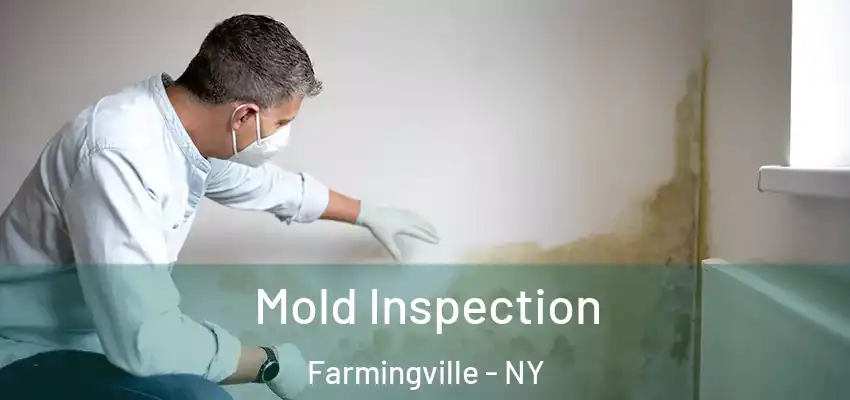  Mold Inspection Farmingville - NY