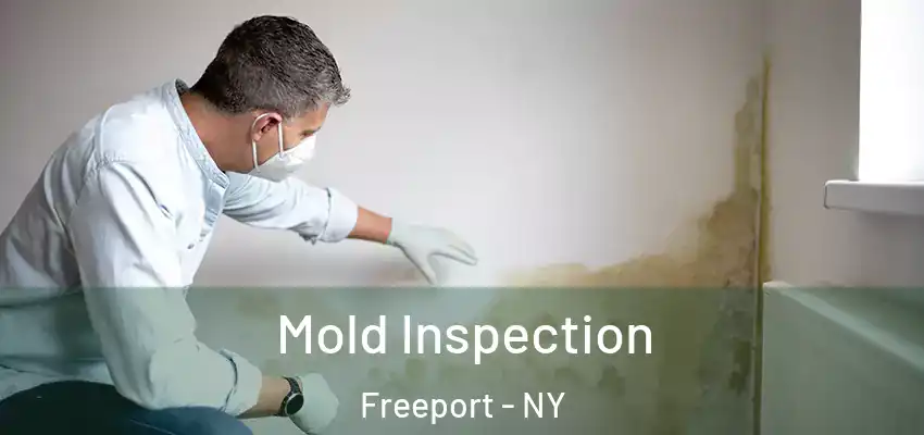  Mold Inspection Freeport - NY