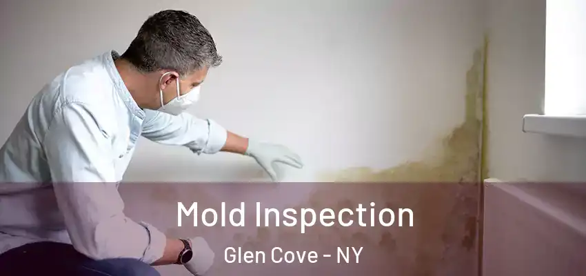  Mold Inspection Glen Cove - NY