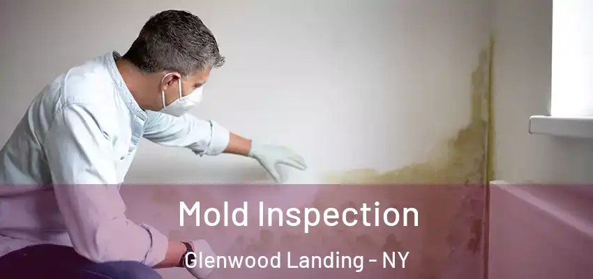  Mold Inspection Glenwood Landing - NY