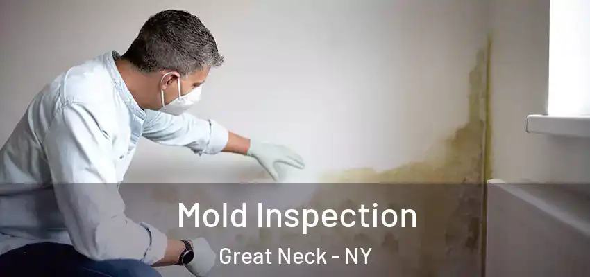 Mold Inspection Great Neck - NY