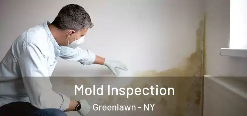 Mold Inspection Greenlawn - NY