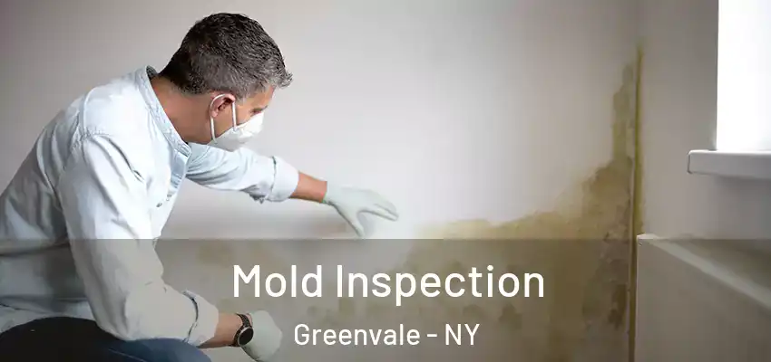 Mold Inspection Greenvale - NY