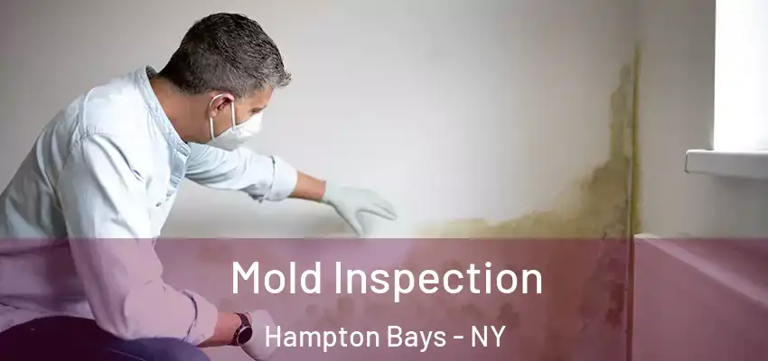 Mold Inspection Hampton Bays - NY