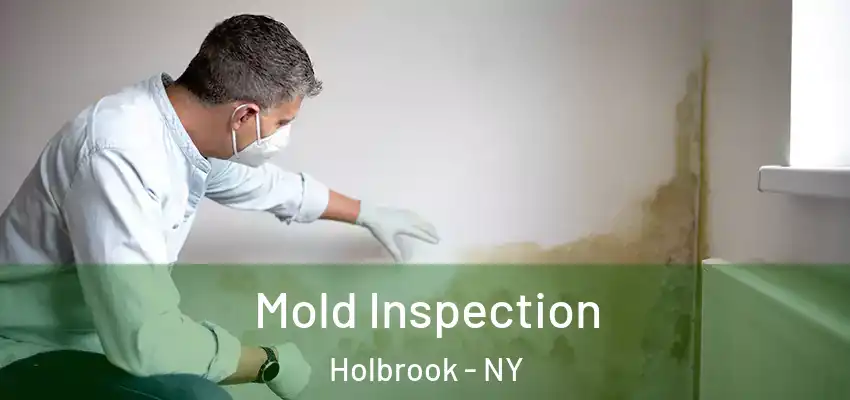 Mold Inspection Holbrook - NY