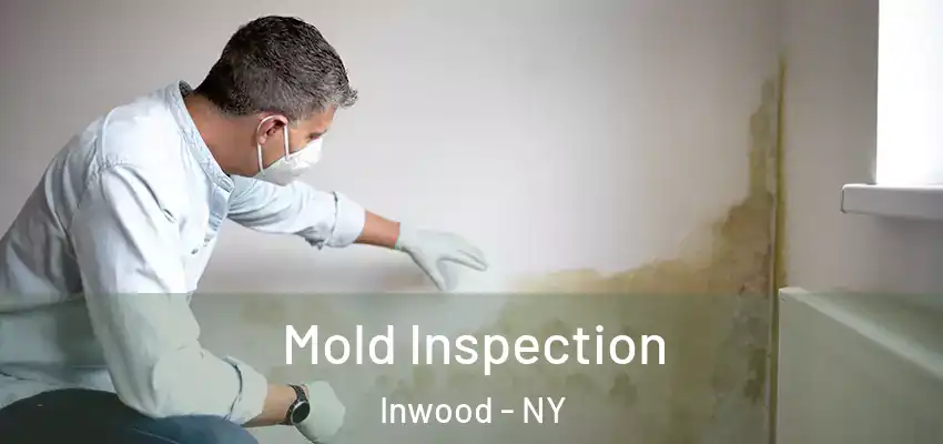  Mold Inspection Inwood - NY
