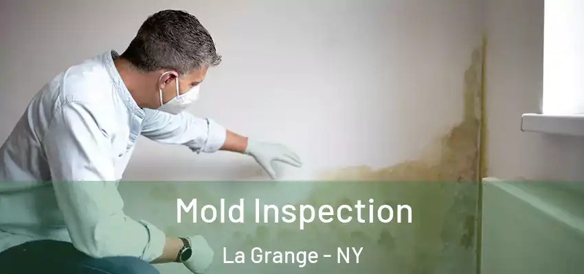  Mold Inspection La Grange - NY
