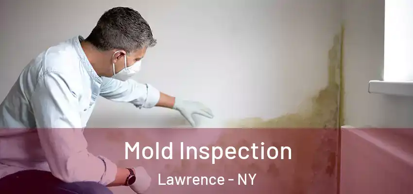 Mold Inspection Lawrence - NY