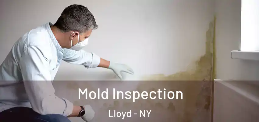  Mold Inspection Lloyd - NY