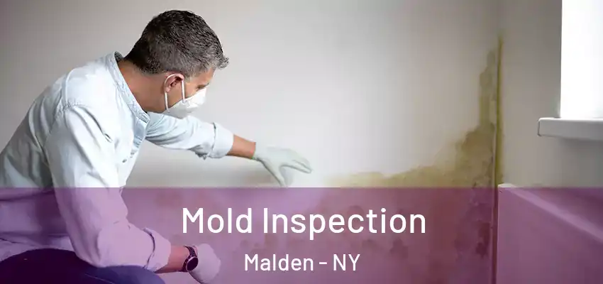 Mold Inspection Malden - NY