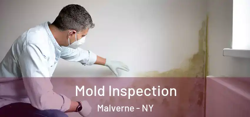 Mold Inspection Malverne - NY