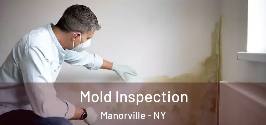 Mold Inspection Manorville - NY