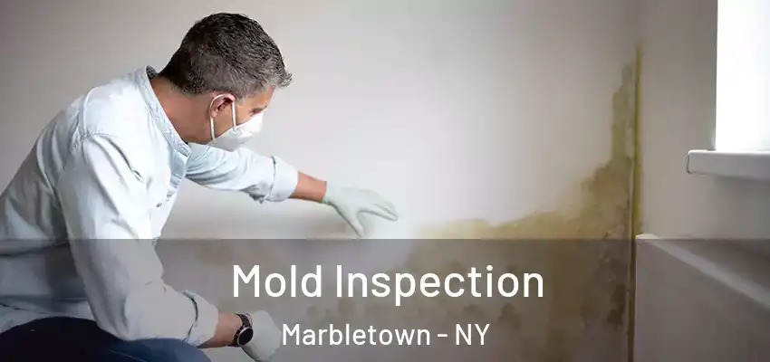 Mold Inspection Marbletown - NY
