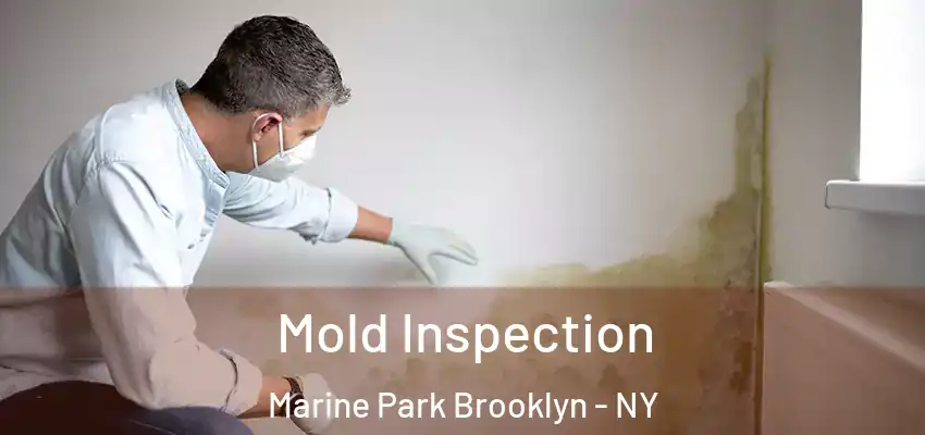 Mold Inspection Marine Park Brooklyn - NY