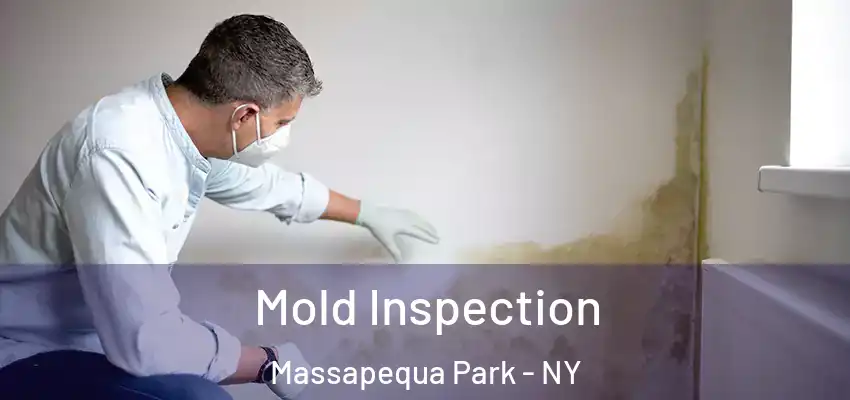  Mold Inspection Massapequa Park - NY
