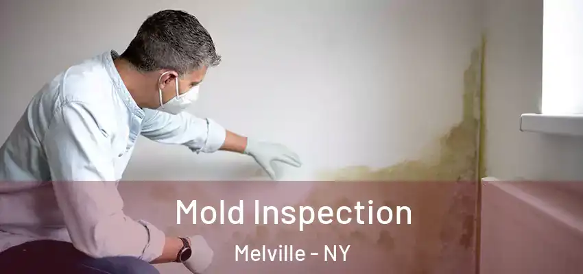 Mold Inspection Melville - NY
