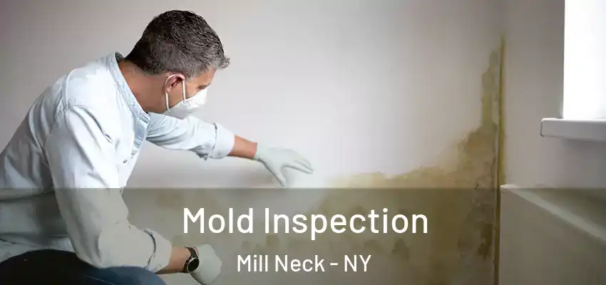 Mold Inspection Mill Neck - NY