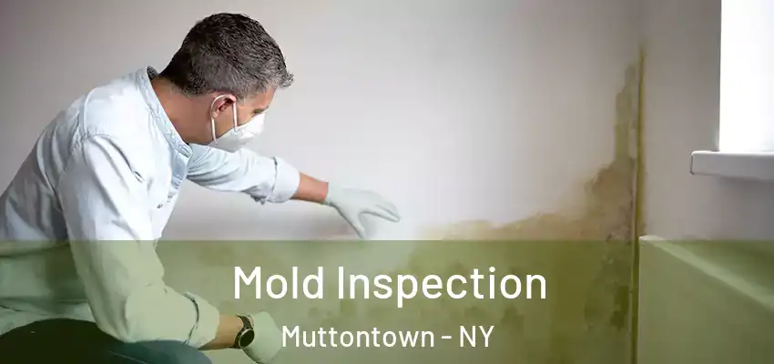 Mold Inspection Muttontown - NY