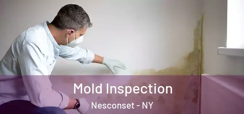 Mold Inspection Nesconset - NY