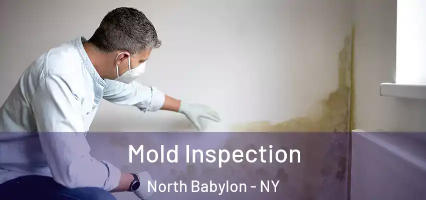 Mold Inspection North Babylon - NY