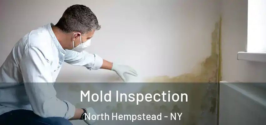  Mold Inspection North Hempstead - NY