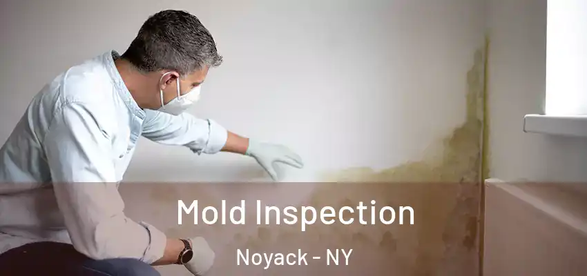 Mold Inspection Noyack - NY