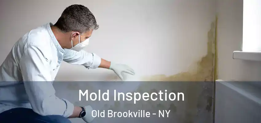  Mold Inspection Old Brookville - NY