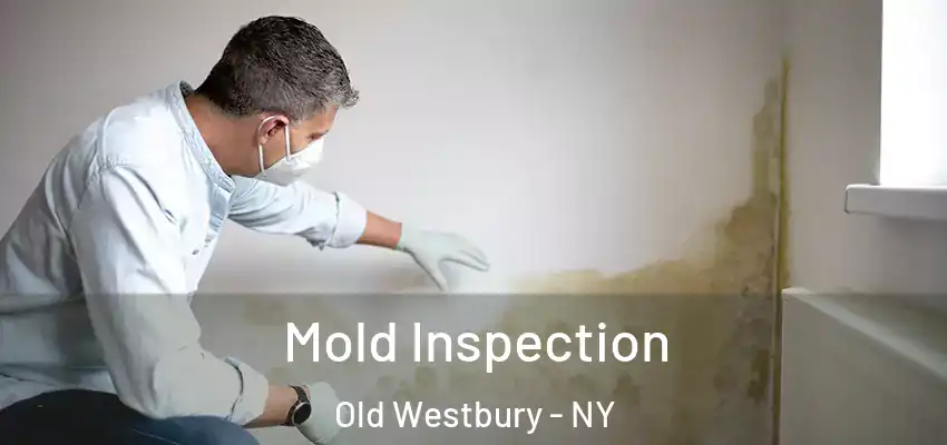  Mold Inspection Old Westbury - NY