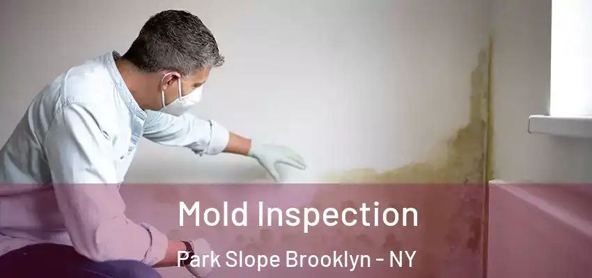  Mold Inspection Park Slope Brooklyn - NY