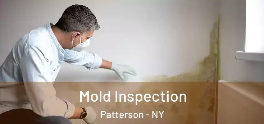 Mold Inspection Patterson - NY