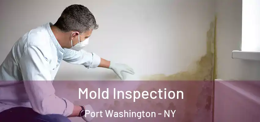Mold Inspection Port Washington - NY