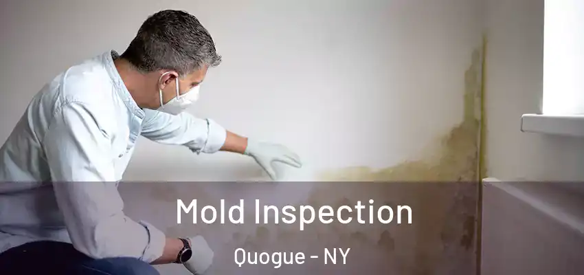 Mold Inspection Quogue - NY