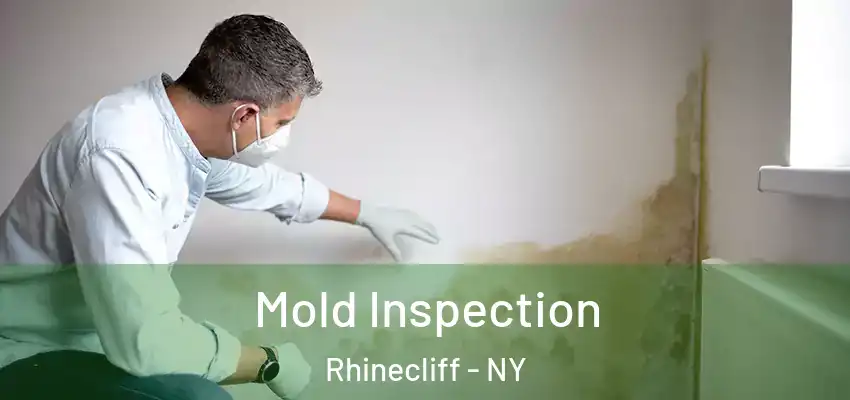 Mold Inspection Rhinecliff - NY