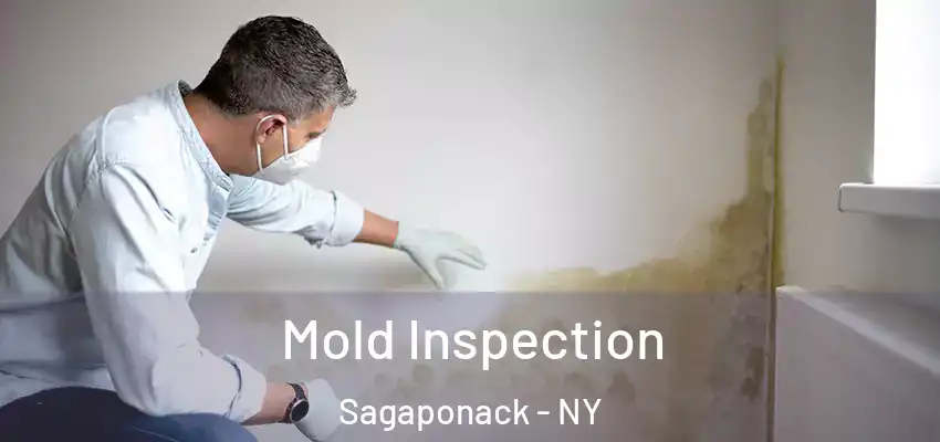 Mold Inspection Sagaponack - NY